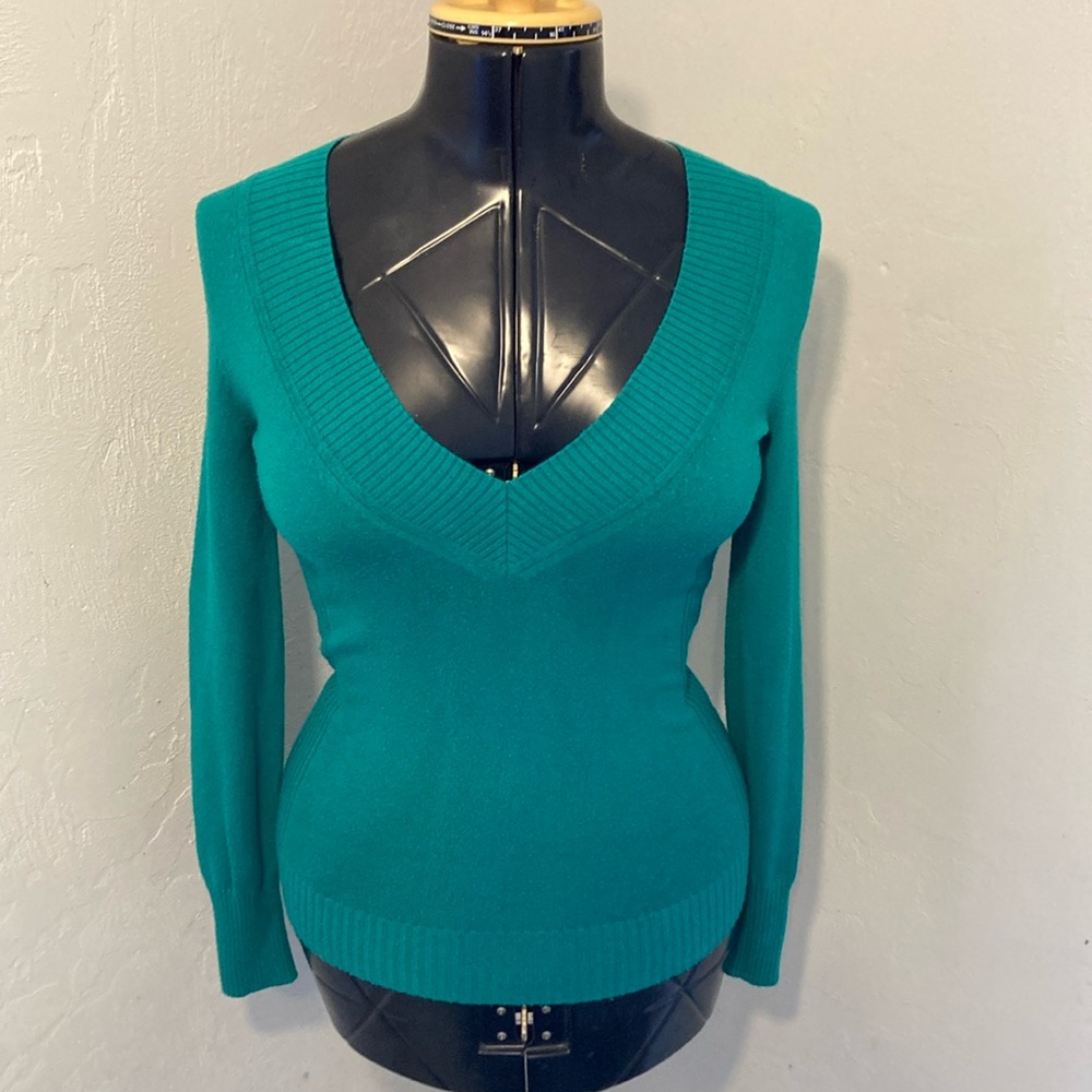Express Design Studio Green V-Neck Sweater